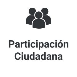 Participacion_Ciudadana